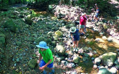 Collado Reserve and a Carbon Offset and Reforestation Program